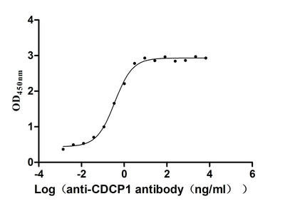 The Binding Activity of Human CDCP1 with Anti-CDCP1 recombinant antibodyActivity: Measured by its binding ability in a functional ELISA. Immobilized Human CDCP1 (the antibody at 2 μg/mL can bind Anti-CDCP1 recombinant antibody, the EC50 is 0.2943-0.4429 ng/mL.