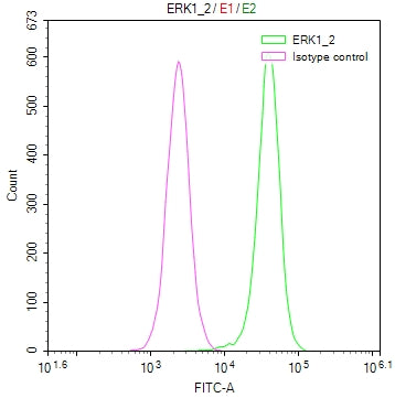 Overlay Peak curve showing Hela cells surface stained with MAPK1/MAPK3 Recombinant Monoclonal Antibody (red line) at 1:50. Then 10% normal goat serum to block non-specific protein-protein interactions followed by the antibody (1µg/1*106cells) for 45min at 4℃. The secondary antibody used was FITC-conjugated Goat Anti-rabbit IgG(H+L) at 1:200 dilution for 35min at 4℃.Control antibody (green line) was rabbit IgG (1µg/1*106cells) used under the same conditions. Acquisition of >10,000 events was performed.MAPK1/MAPK3 Recombinant Monoclonal Antibody