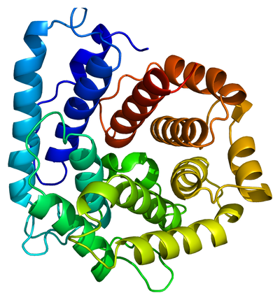 Structure of the C3 protein Emw, CC BY-SA 3.0 httpscreativecommons.orglicensesby-sa3.0, via Wikimedia Commons