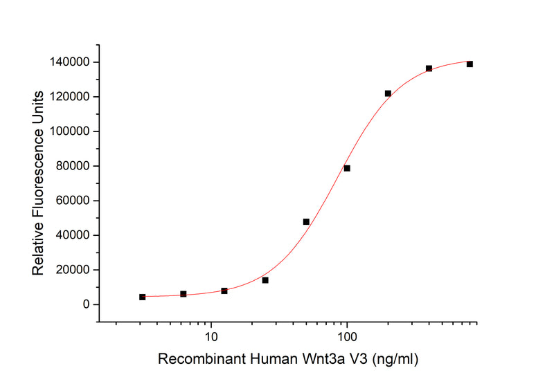 Measured by its ability to induce Topflash reporter activity in HEK293T human embryonic kidney cells.The ED50 for this effect is 71.45 ng/ml.Recombinant Human Wnt3a V3 Protein