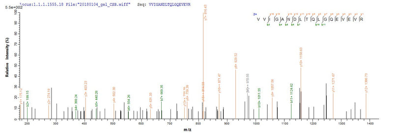 Based on the SEQUEST from database of Baculovirus host and target protein, the LC-MS/MS Analysis result of this product could indicate that this peptide derived from Baculovirus-expressed Meleagris gallopavo (Common turkey) ACR.Recombinant Meleagris Gallopavo Acrosin (ACR) Protein (MBP&His)