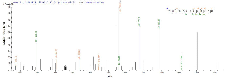 Based on the SEQUEST from database of Baculovirus host and target protein, the LC-MS/MS Analysis result of this product could indicate that this peptide derived from Baculovirus-expressed Meleagris gallopavo (Common turkey) ACR.Recombinant Meleagris Gallopavo Acrosin (ACR) Protein (MBP&His)
