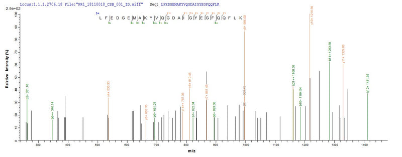 Based on the SEQUEST from database of Baculovirus host and target protein, the LC-MS/MS Analysis result of this product could indicate that this peptide derived from Baculovirus-expressed Homo sapiens (Human) DGKA.Recombinant Human Diacylglycerol Kinase Alpha (DGKA) Protein (His&Myc)