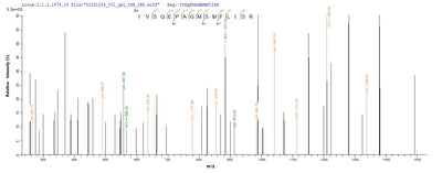 Based on the SEQUEST from database of Baculovirus host and target protein, the LC-MS/MS Analysis result of this product could indicate that this peptide derived from Baculovirus-expressed Mus musculus (Mouse) Dsg3.Recombinant Mouse Desmoglein-3 (DSG3) Protein (His)