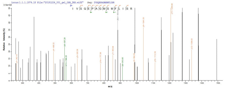 Based on the SEQUEST from database of Baculovirus host and target protein, the LC-MS/MS Analysis result of this product could indicate that this peptide derived from Baculovirus-expressed Mus musculus (Mouse) Dsg3.Recombinant Mouse Desmoglein-3 (DSG3) Protein (His)