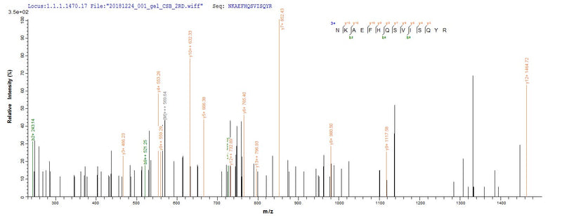 Based on the SEQUEST from database of Baculovirus host and target protein, the LC-MS/MS Analysis result of this product could indicate that this peptide derived from Baculovirus-expressed Mus musculus (Mouse) Dsg3.Recombinant Mouse Desmoglein-3 (DSG3) Protein (His)