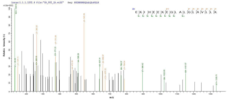 Based on the SEQUEST from database of Baculovirus host and target protein, the LC-MS/MS Analysis result of this product could indicate that this peptide derived from Baculovirus-expressed Homo sapiens(Human) OPTN.Recombinant Human Optineurin (OPTN) Protein (His)