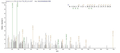 Based on the SEQUEST from database of Baculovirus host and target protein, the LC-MS/MS Analysis result of this product could indicate that this peptide derived from Baculovirus-expressed Homo sapiens(Human) OPTN.Recombinant Human Optineurin (OPTN) Protein (His)