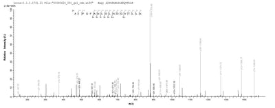 Based on the SEQUEST from database of Baculovirus host and target protein, the LC-MS/MS Analysis result of this product could indicate that this peptide derived from Baculovirus-expressed Homo sapiens (Human) PPARA.Recombinant Human Peroxisome Proliferator-Activated Receptor Alpha (PPARA) Protein (His&Myc)