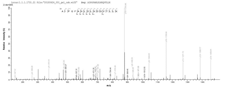 Based on the SEQUEST from database of Baculovirus host and target protein, the LC-MS/MS Analysis result of this product could indicate that this peptide derived from Baculovirus-expressed Homo sapiens (Human) PPARA.Recombinant Human Peroxisome Proliferator-Activated Receptor Alpha (PPARA) Protein (His&Myc)