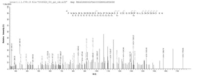 Based on the SEQUEST from database of Baculovirus host and target protein, the LC-MS/MS Analysis result of this product could indicate that this peptide derived from Baculovirus-expressed Homo sapiens (Human) PPARA.Recombinant Human Peroxisome Proliferator-Activated Receptor Alpha (PPARA) Protein (His&Myc)