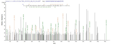 Based on the SEQUEST from database of Baculovirus host and target protein, the LC-MS/MS Analysis result of this product could indicate that this peptide derived from Baculovirus-expressed Homo sapiens (Human) PSMD14.Recombinant Human 26S Proteasome Non-Atpase Regulatory Subunit 14 (PSMD14) Protein (MBP&His)