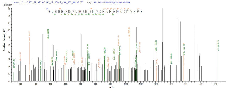 Based on the SEQUEST from database of Baculovirus host and target protein, the LC-MS/MS Analysis result of this product could indicate that this peptide derived from Baculovirus-expressed Homo sapiens (Human) PSMD14.Recombinant Human 26S Proteasome Non-Atpase Regulatory Subunit 14 (PSMD14) Protein (MBP&His)