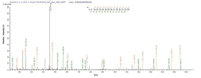 Based on the SEQUEST from database of Baculovirus host and target protein, the LC-MS/MS Analysis result of this product could indicate that this peptide derived from Baculovirus-expressed Oryctolagus cuniculus (Rabbit) TPM1.