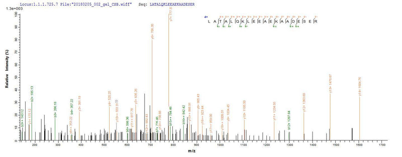 Based on the SEQUEST from database of Baculovirus host and target protein, the LC-MS/MS Analysis result of this product could indicate that this peptide derived from Baculovirus-expressed Oryctolagus cuniculus (Rabbit) TPM1.
