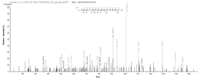 Based on the SEQUEST from database of Baculovirus host and target protein, the LC-MS/MS Analysis result of this product could indicate that this peptide derived from Baculovirus-expressed Rabies virus (strain HEP-Flury) (RABV) G.