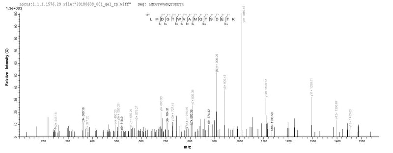 Based on the SEQUEST from database of Baculovirus host and target protein, the LC-MS/MS Analysis result of this product could indicate that this peptide derived from Baculovirus-expressed Rabies virus (strain HEP-Flury) (RABV) G.