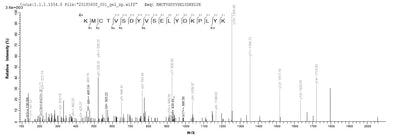 Based on the SEQUEST from database of Baculovirus host and target protein, the LC-MS/MS Analysis result of this product could indicate that this peptide derived from Baculovirus-expressed Vaccinia virus (strain LC16m8) (VACV) PS/HR.