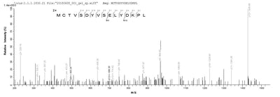 Based on the SEQUEST from database of Baculovirus host and target protein, the LC-MS/MS Analysis result of this product could indicate that this peptide derived from Baculovirus-expressed Vaccinia virus (strain LC16m8) (VACV) PS/HR.