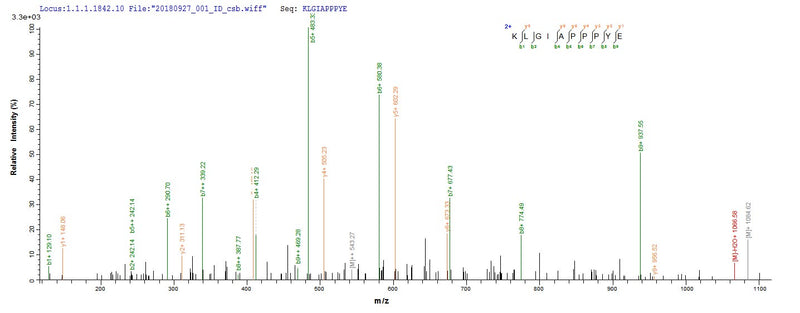 Based on the SEQUEST from database of Baculovirus host and target protein, the LC-MS/MS Analysis result of this product could indicate that this peptide derived from Baculovirus-expressed Human adenovirus C serotype 5 (HAdV-5) (Human adenovirus 5) DBP.Recombinant Vesicular Stomatitis Indiana Virus Matrix Protein (M) Protein (His&Myc)