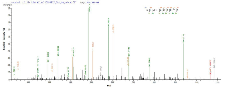 Based on the SEQUEST from database of Baculovirus host and target protein, the LC-MS/MS Analysis result of this product could indicate that this peptide derived from Baculovirus-expressed Human adenovirus C serotype 5 (HAdV-5) (Human adenovirus 5) DBP.