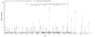 Based on the SEQUEST from database of Baculovirus host and target protein, the LC-MS/MS Analysis result of this product could indicate that this peptide derived from Baculovirus-expressed Human adenovirus C serotype 5 (HAdV-5) (Human adenovirus 5) DBP.Recombinant Vesicular Stomatitis Indiana Virus Matrix Protein (M) Protein (His&Myc)