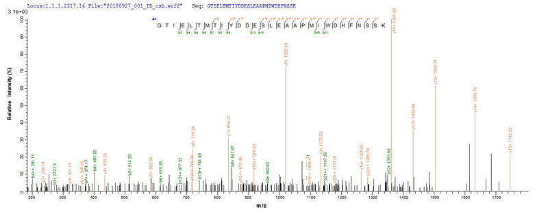 Based on the SEQUEST from database of Baculovirus host and target protein, the LC-MS/MS Analysis result of this product could indicate that this peptide derived from Baculovirus-expressed Human adenovirus C serotype 5 (HAdV-5) (Human adenovirus 5) DBP.Recombinant Vesicular Stomatitis Indiana Virus Matrix Protein (M) Protein (His&Myc)