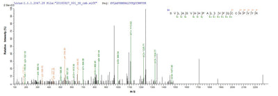 Based on the SEQUEST from database of Baculovirus host and target protein, the LC-MS/MS Analysis result of this product could indicate that this peptide derived from Baculovirus-expressed Human adenovirus C serotype 5 (HAdV-5) (Human adenovirus 5) DBP.Recombinant Human Adenovirus C Serotype 5 Dna-Binding Protein (DBP) Protein (His)