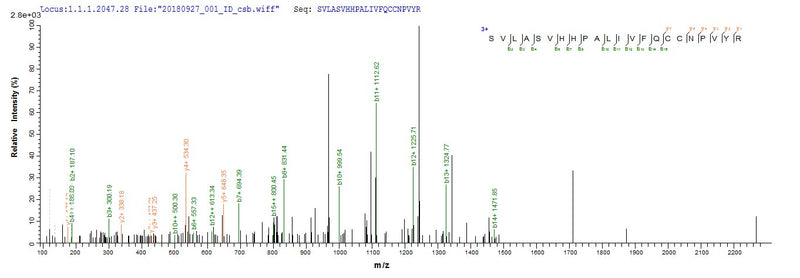 Based on the SEQUEST from database of Baculovirus host and target protein, the LC-MS/MS Analysis result of this product could indicate that this peptide derived from Baculovirus-expressed Human adenovirus C serotype 5 (HAdV-5) (Human adenovirus 5) DBP.Recombinant Human Adenovirus C Serotype 5 Dna-Binding Protein (DBP) Protein (His)