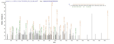 Based on the SEQUEST from database of Baculovirus host and target protein, the LC-MS/MS Analysis result of this product could indicate that this peptide derived from Baculovirus-expressed Homo sapiens (Human) CAPRIN1.Recombinant Human Caprin-1 (CAPRIN1) Protein (His)