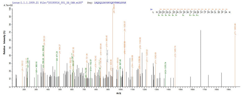 Based on the SEQUEST from database of Baculovirus host and target protein, the LC-MS/MS Analysis result of this product could indicate that this peptide derived from Baculovirus-expressed Homo sapiens (Human) CAPRIN1.Recombinant Human Caprin-1 (CAPRIN1) Protein (His)