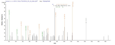 Based on the SEQUEST from database of Baculovirus host and target protein, the LC-MS/MS Analysis result of this product could indicate that this peptide derived from Baculovirus-expressed Homo sapiens (Human) CAPRIN1.Recombinant Human Caprin-1 (CAPRIN1) Protein (His)