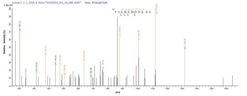 Based on the SEQUEST from database of Baculovirus host and target protein, the LC-MS/MS Analysis result of this product could indicate that this peptide derived from Baculovirus-expressed Homo sapiens (Human) CAPRIN1.Recombinant Human Caprin-1 (CAPRIN1) Protein (His)
