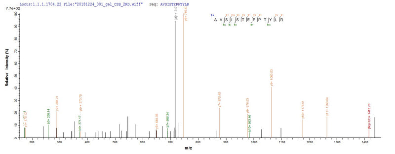 Based on the SEQUEST from database of Baculovirus host and target protein, the LC-MS/MS Analysis result of this product could indicate that this peptide derived from Baculovirus-expressed Homo sapiens (Human) SMARCB1.Recombinant Human Swi/Snf-Related Matrix-Associated Actin-Dependent Regulator Of Chromatin Subfamily B Member 1 (SMARCB1) Protein (His)