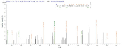Based on the SEQUEST from database of Baculovirus host and target protein, the LC-MS/MS Analysis result of this product could indicate that this peptide derived from Baculovirus-expressed Homo sapiens (Human) SMARCB1.Recombinant Human Swi/Snf-Related Matrix-Associated Actin-Dependent Regulator Of Chromatin Subfamily B Member 1 (SMARCB1) Protein (His)