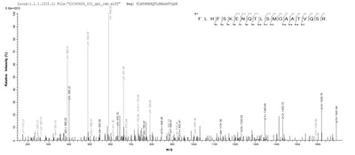Based on the SEQUEST from database of Baculovirus host and target protein, the LC-MS/MS Analysis result of this product could indicate that this peptide derived from Baculovirus-expressed Homo sapiens (Human) FCRL6.Recombinant Human Fc Receptor-Like Protein 6 (FCRL6) Protein (His)