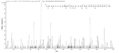 Based on the SEQUEST from database of Baculovirus host and target protein, the LC-MS/MS Analysis result of this product could indicate that this peptide derived from Baculovirus-expressed Mus musculus (Mouse) Adam12.