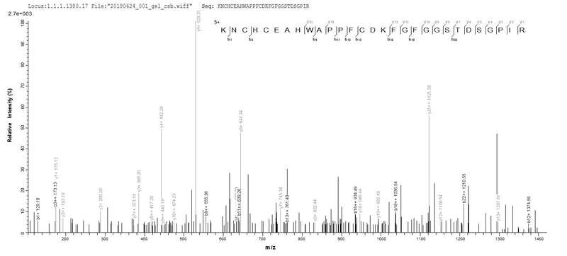 Based on the SEQUEST from database of Baculovirus host and target protein, the LC-MS/MS Analysis result of this product could indicate that this peptide derived from Baculovirus-expressed Mus musculus (Mouse) Adam12.Recombinant Mouse Disintegrin And Metalloproteinase Domain-Containing Protein 12 (ADAM12) Protein (His&Myc)