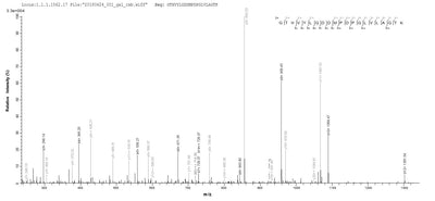 Based on the SEQUEST from database of Baculovirus host and target protein, the LC-MS/MS Analysis result of this product could indicate that this peptide derived from Baculovirus-expressed Mus musculus (Mouse) Adam12.Recombinant Mouse Disintegrin And Metalloproteinase Domain-Containing Protein 12 (ADAM12) Protein (His&Myc)
