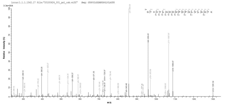 Based on the SEQUEST from database of Baculovirus host and target protein, the LC-MS/MS Analysis result of this product could indicate that this peptide derived from Baculovirus-expressed Mus musculus (Mouse) Adam12.