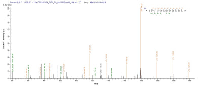 Based on the SEQUEST from database of Baculovirus host and target protein, the LC-MS/MS Analysis result of this product could indicate that this peptide derived from Baculovirus-expressed Mus musculus (Mouse) Tmprss6.Recombinant Mouse Transmembrane Protease Serine 6 (TMPRSS6) Protein (His&Myc)
