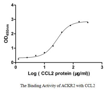 Recombinant Human Atypical Chemokine Receptor 2 (ACKR2) Protein (His), ActiveRecombinant Human Atypical Chemokine Receptor 2 (ACKR2) Protein (His), Active