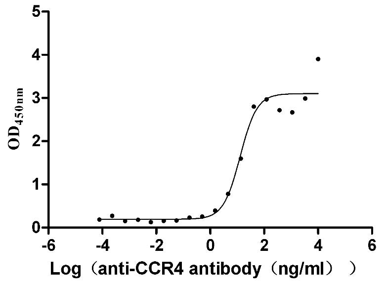 Activity Measured by its binding ability in a functional ELISA. Immobilized Human CCR4 at 5 μg/ml can bind Anti-CCR4 recombinant antibody, the EC 50 is 7.818-21.25 ng/mL.Recombinant Human C-C Chemokine Receptor Type 4 (CCR4) Protein (His), Active