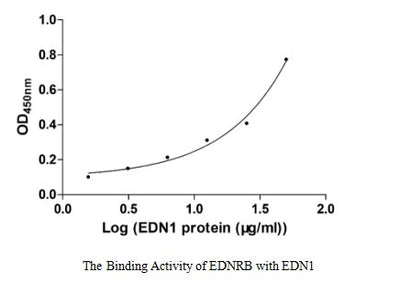 Activity Measured by its binding ability in a functional ELISA. Immobilized EDNRB at 5 μg/ml can bind human EDN1 with a linear range of 6.25-25.00 μg/ml.