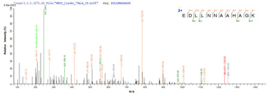 Based on the SEQUEST from database of E.coli host and target protein, the LC-MS/MS Analysis result of this product could indicate that this peptide derived from E.coli-expressed Homo sapiens (Human) ABAT.Recombinant Human 4-Aminobutyrate Aminotransferase, Mitochondrial (ABAT) Protein (His-SUMO&Myc)