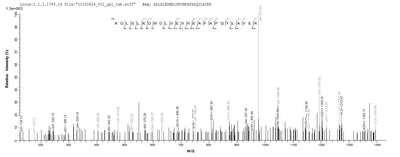 Based on the SEQUEST from database of E.coli host and target protein, the LC-MS/MS Analysis result of this product could indicate that this peptide derived from E.coli-expressed Homo sapiens (Human) ACAA2.Recombinant Human 3-Ketoacyl-Coa Thiolase, Mitochondrial (ACAA2) Protein (His)