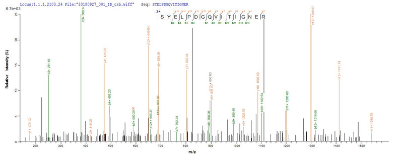 Based on the SEQUEST from database of E.coli host and target protein, the LC-MS/MS Analysis result of this product could indicate that this peptide derived from E.coli-expressed Homo sapiens (Human) ACTB.Recombinant Human Actin, Cytoplasmic 1 (ACTB) Protein (His&Myc)