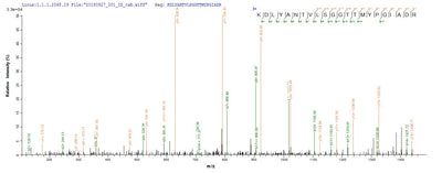 Based on the SEQUEST from database of E.coli host and target protein, the LC-MS/MS Analysis result of this product could indicate that this peptide derived from E.coli-expressed Homo sapiens (Human) ACTB.Recombinant Human Actin, Cytoplasmic 1 (ACTB) Protein (His&Myc)