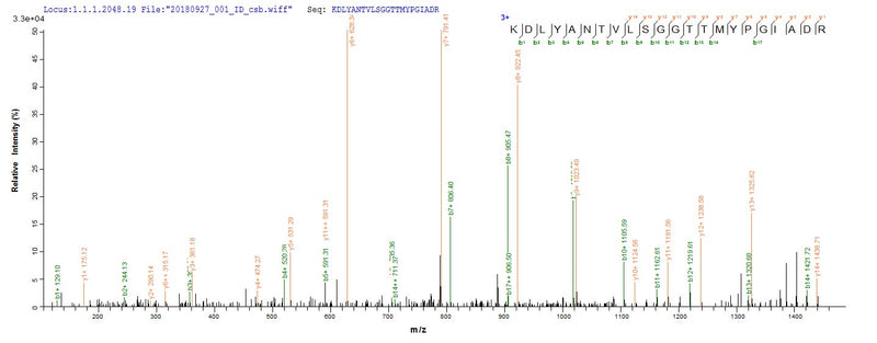 Based on the SEQUEST from database of E.coli host and target protein, the LC-MS/MS Analysis result of this product could indicate that this peptide derived from E.coli-expressed Homo sapiens (Human) ACTB.Recombinant Human Actin, Cytoplasmic 1 (ACTB) Protein (His&Myc)