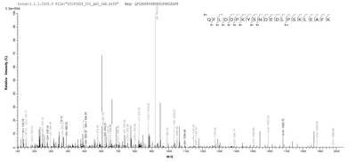 Based on the SEQUEST from database of E.coli host and target protein, the LC-MS/MS Analysis result of this product could indicate that this peptide derived from E.coli-expressed Mus musculus (Mouse) Aif1.Recombinant Mouse Allograft Inflammatory Factor 1 (AIF1) Protein (His)